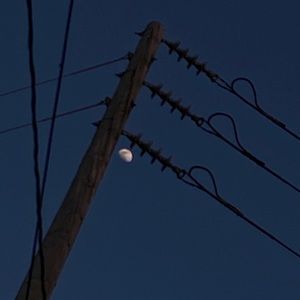 Meet your Posher, Monique